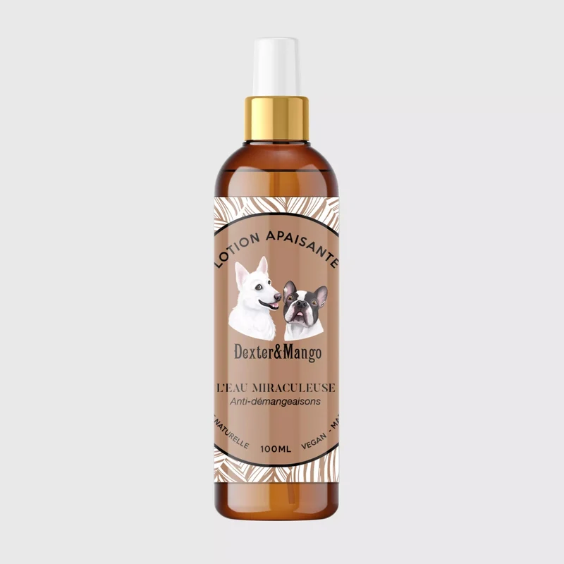 L'eau miraculeuse