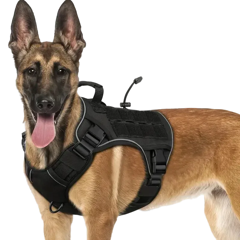Harnais Tactique Chien Réfléchissant