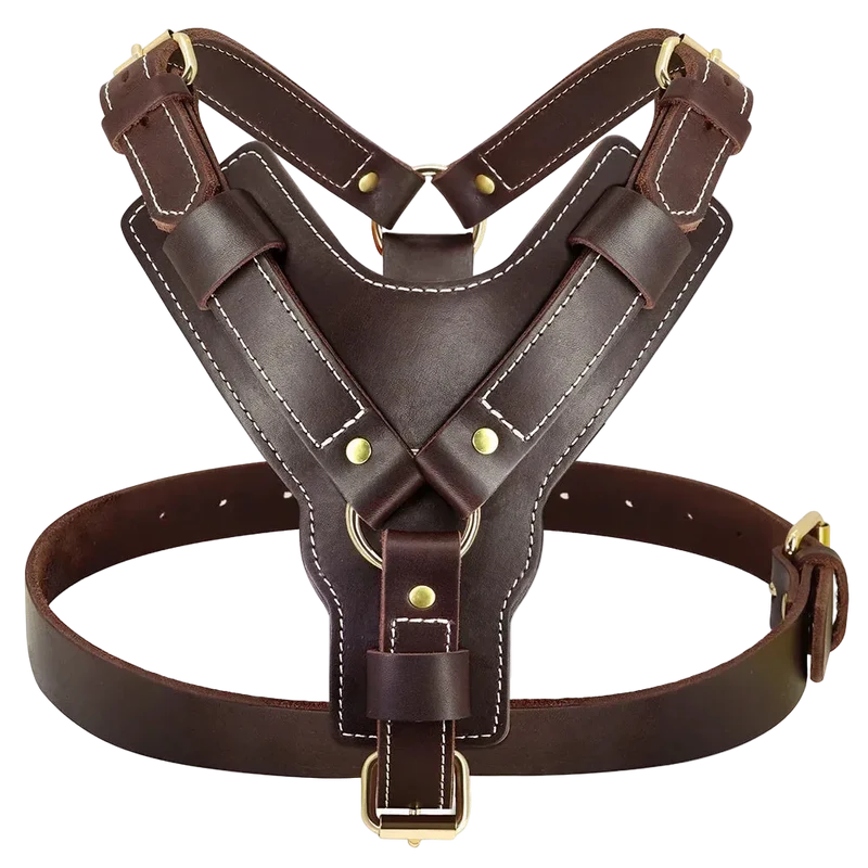 Harnais Chien en Cuir