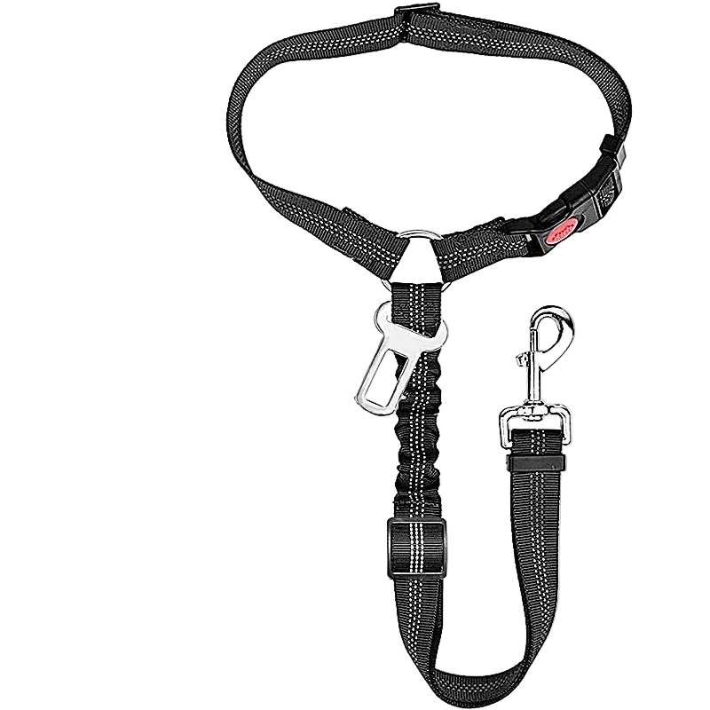 Ceinture Chien Voiture 2 en 1