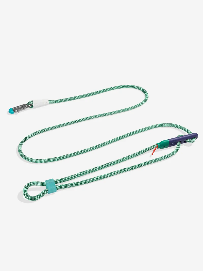 Laisse pour chien mains libres - Velvet Vibes Vert - Zee.Dog