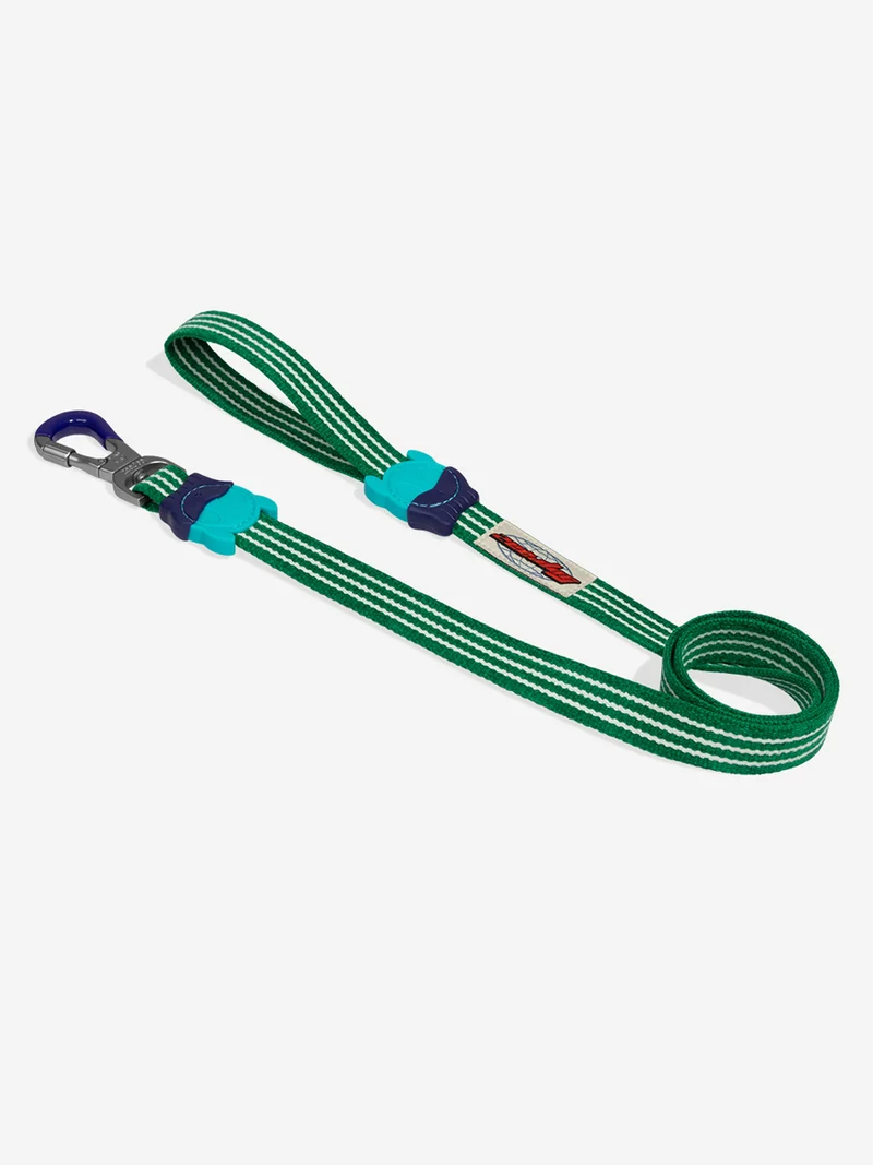 Laisse pour chien - Velvet Vibes Vert - Zee.Dog