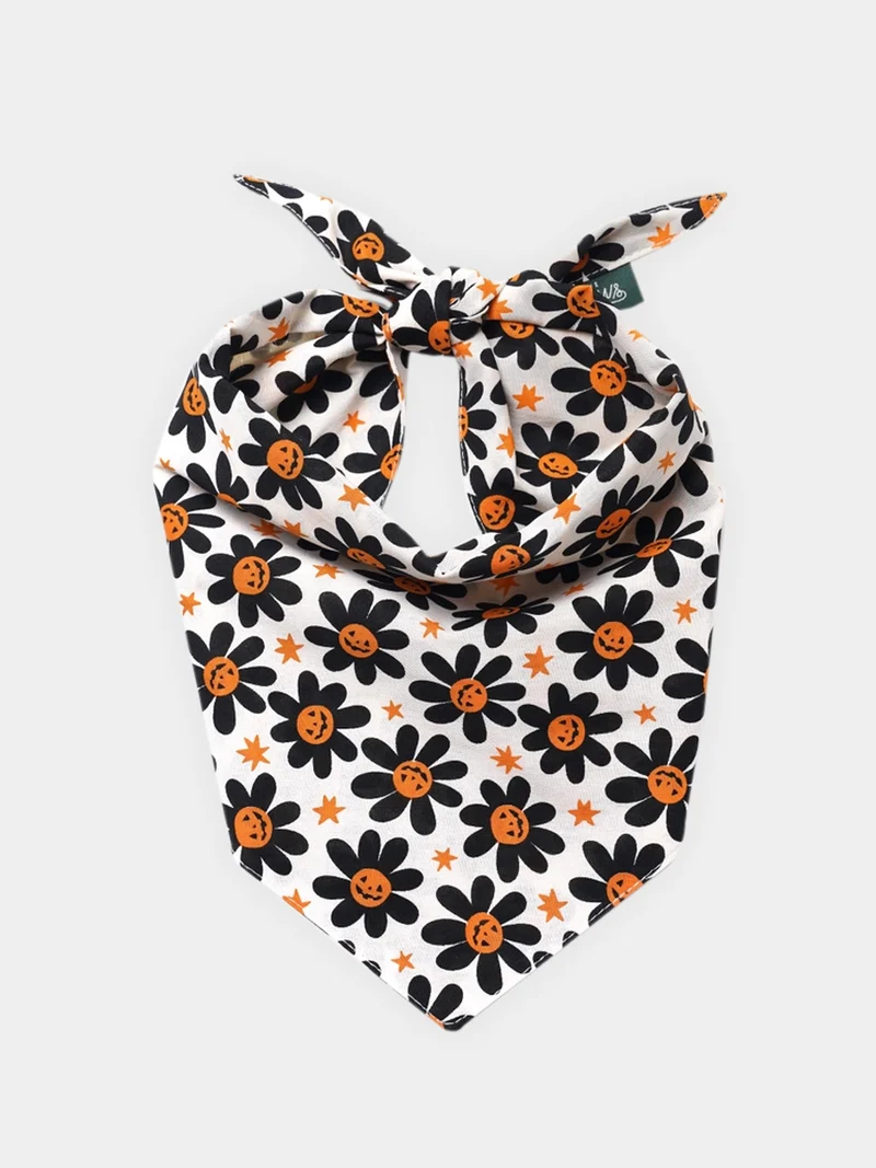 Bandana pour chien - Motif Pumpkin petals 🎃🏵️ - The Paws