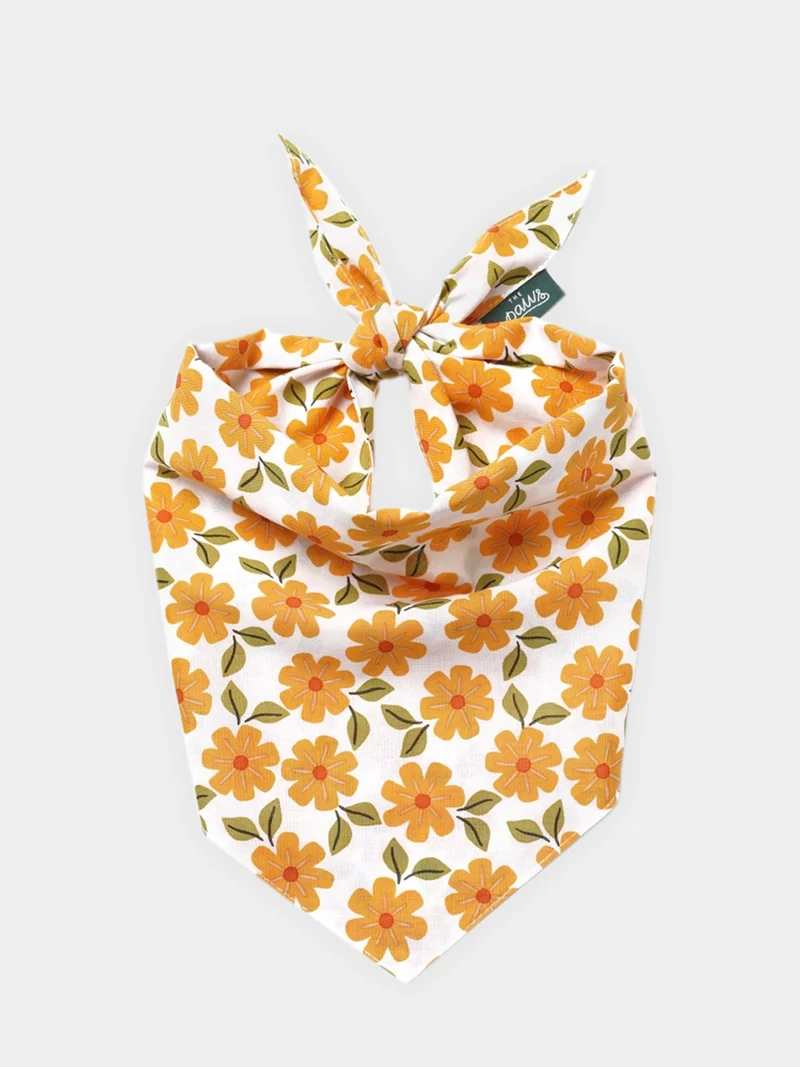 Bandana pour chien - Motif Marigold 🏵️ - The Paws