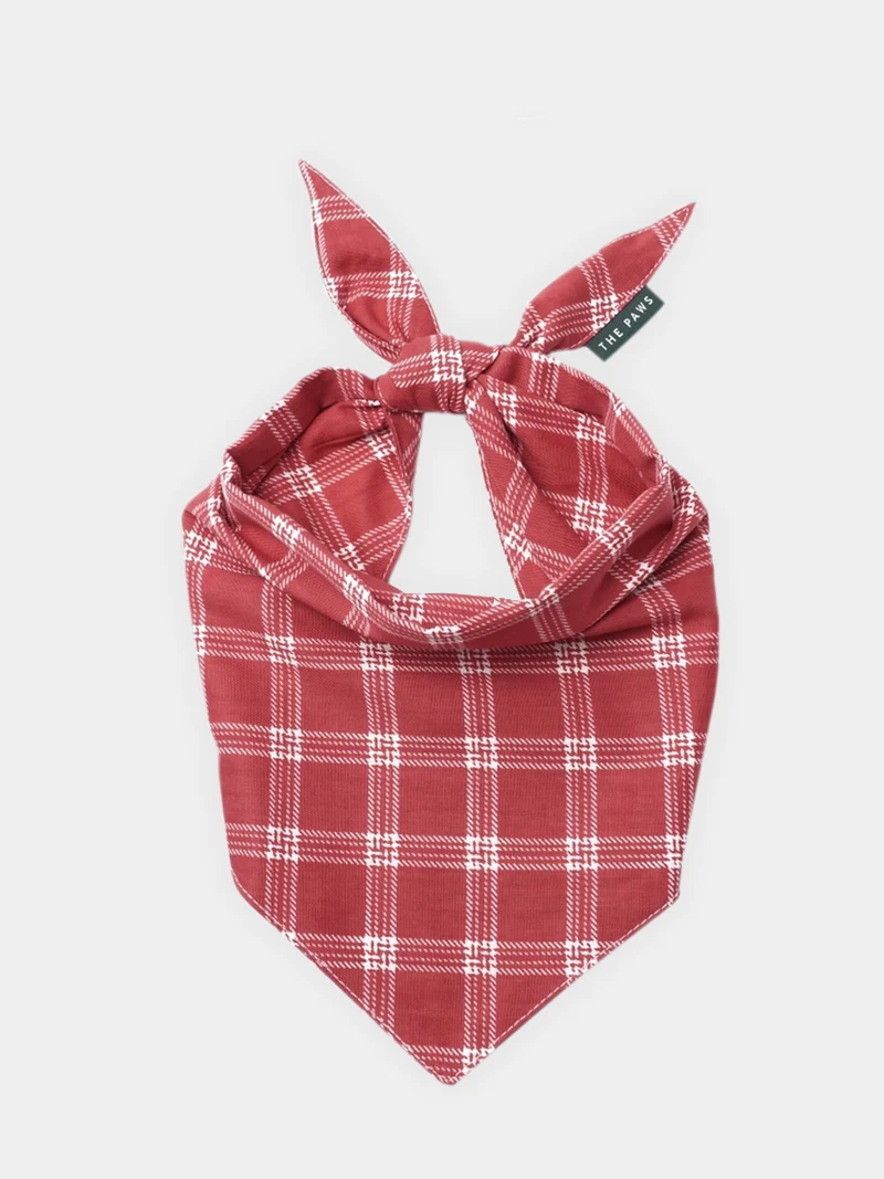 Bandana pour chien - Motif Cider ♦️ - The Paws