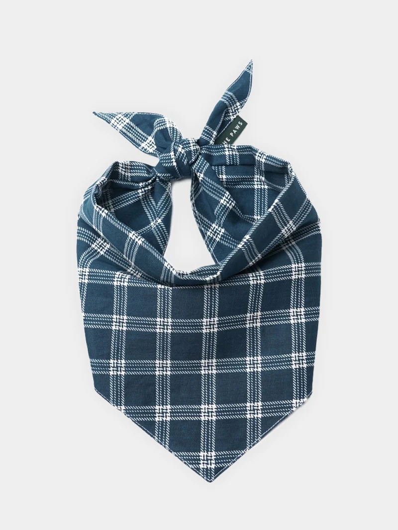 Bandana pour chien - Motif Slate 🪵 - The Paws