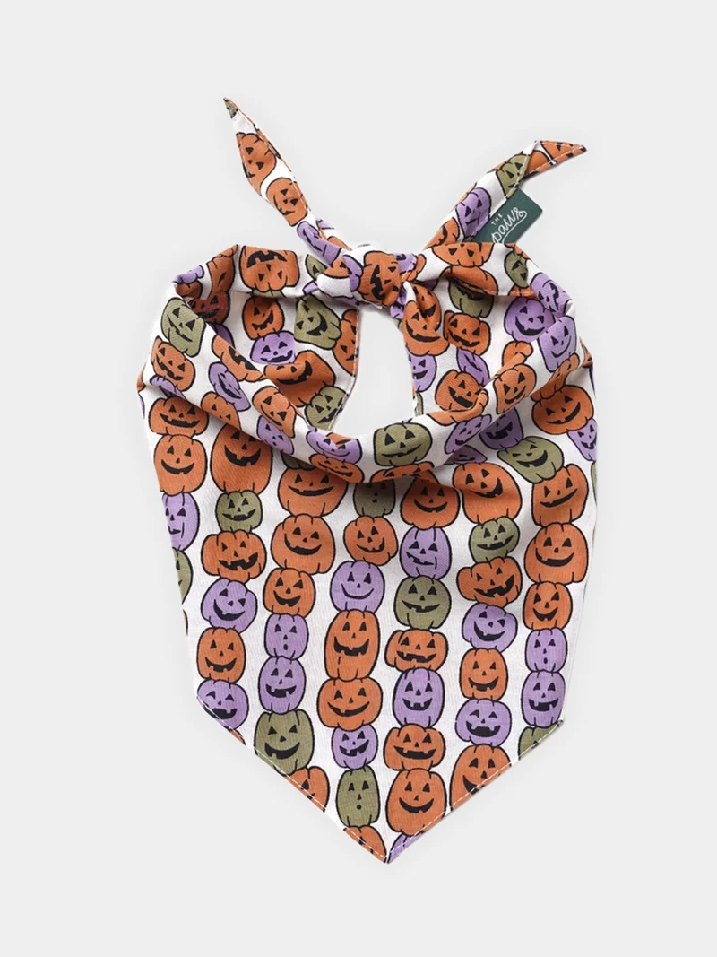 Bandana pour chien - Motif Pumpkin patch 🎃 - The Paws