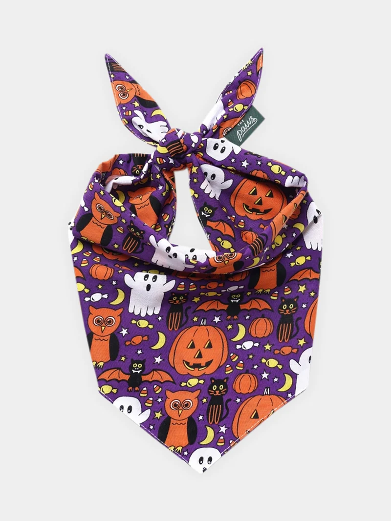 Bandana pour chien - Motif Boo crew 👻 - The Paws
