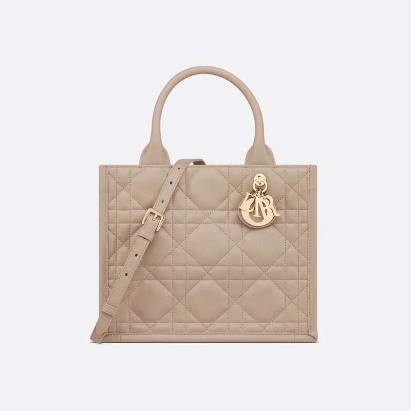 Sac Dior Book Tote Small