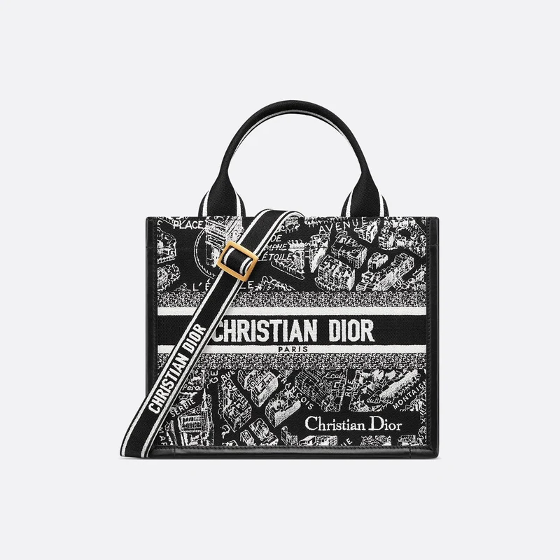 Sac Dior Book Tote Small