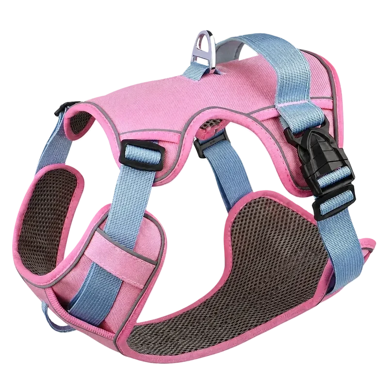 Harnais Petit Chien Maille Respirante