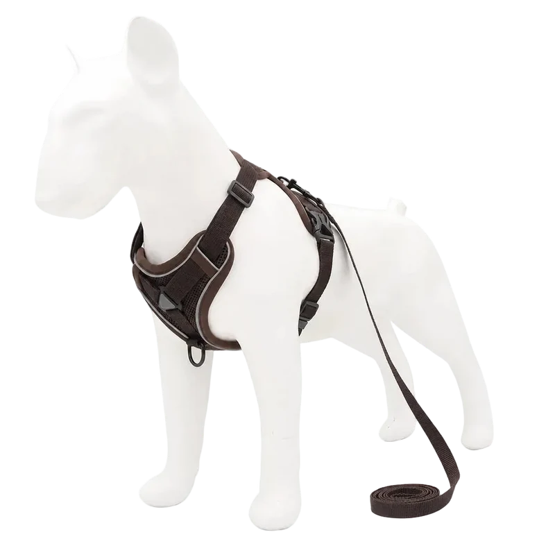 Harnais Chiot Doux Coloré