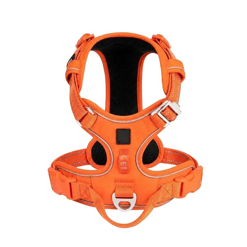 Harnais Chien Anti Traction Ergonomique