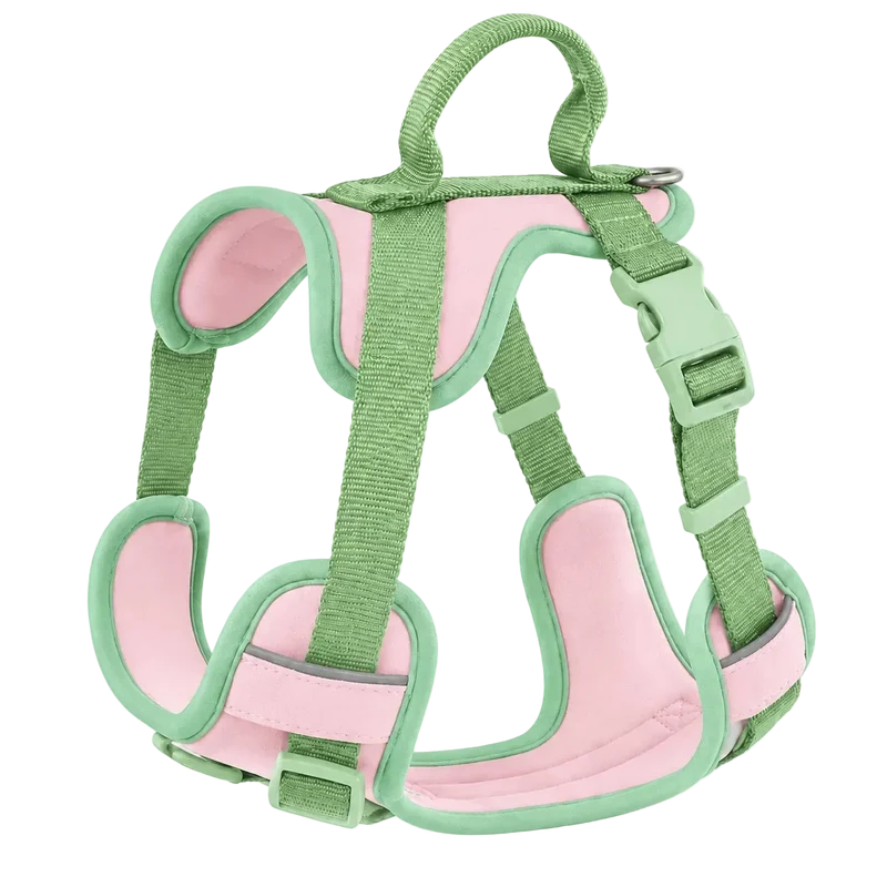 Harnais Chien Anti Traction Original