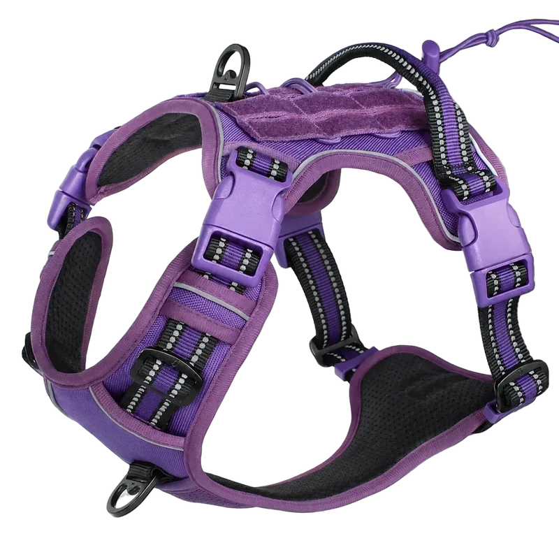 Harnais Chien Anti Traction Tactique