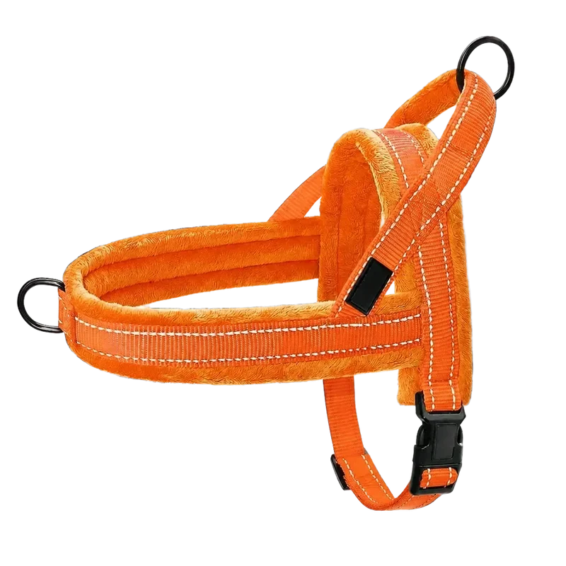 Harnais Chien Anti Traction Rembourré