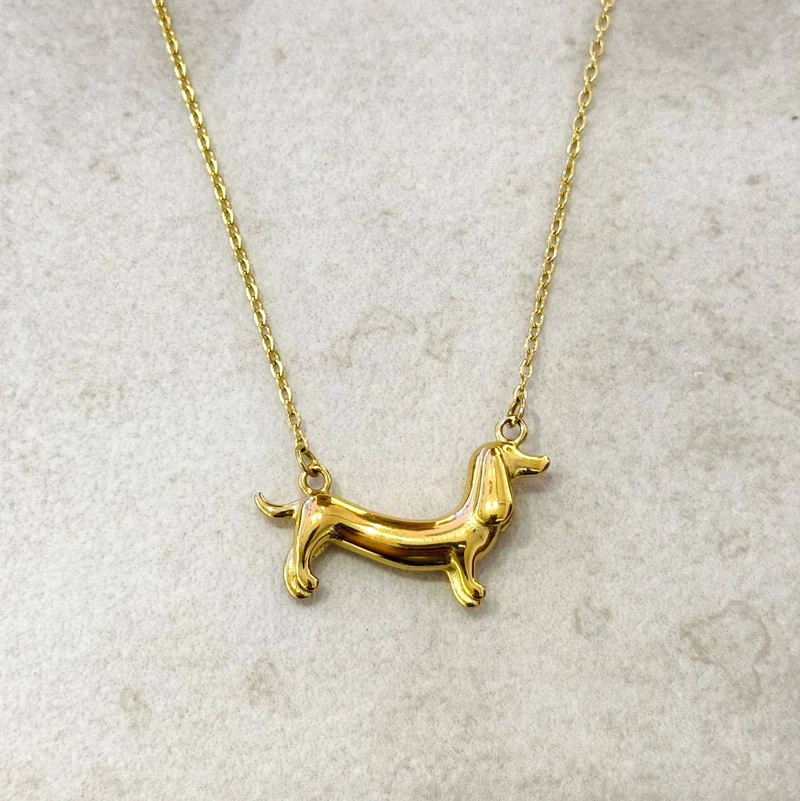 COLLIER TECKEL - Acier inoxydable