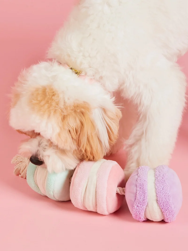 Jouet d'occupation pour chien - Macarons ❤️ - The Foggy Dog