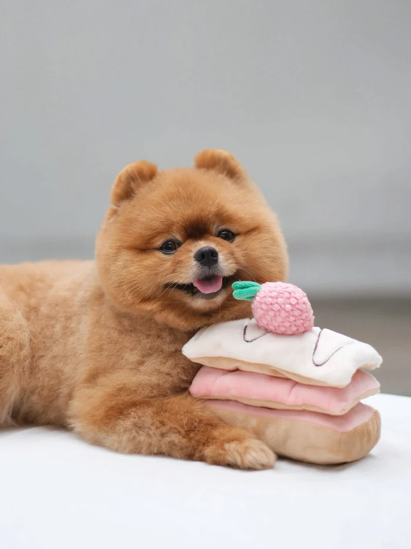Jouet d'occupation pour chien - Mille Feuille - Pups & Bubs