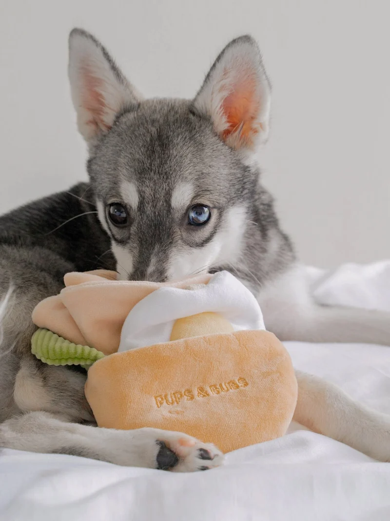 Jouet d'occupation pour chien - Pita 🥙 - Pups & Bubs