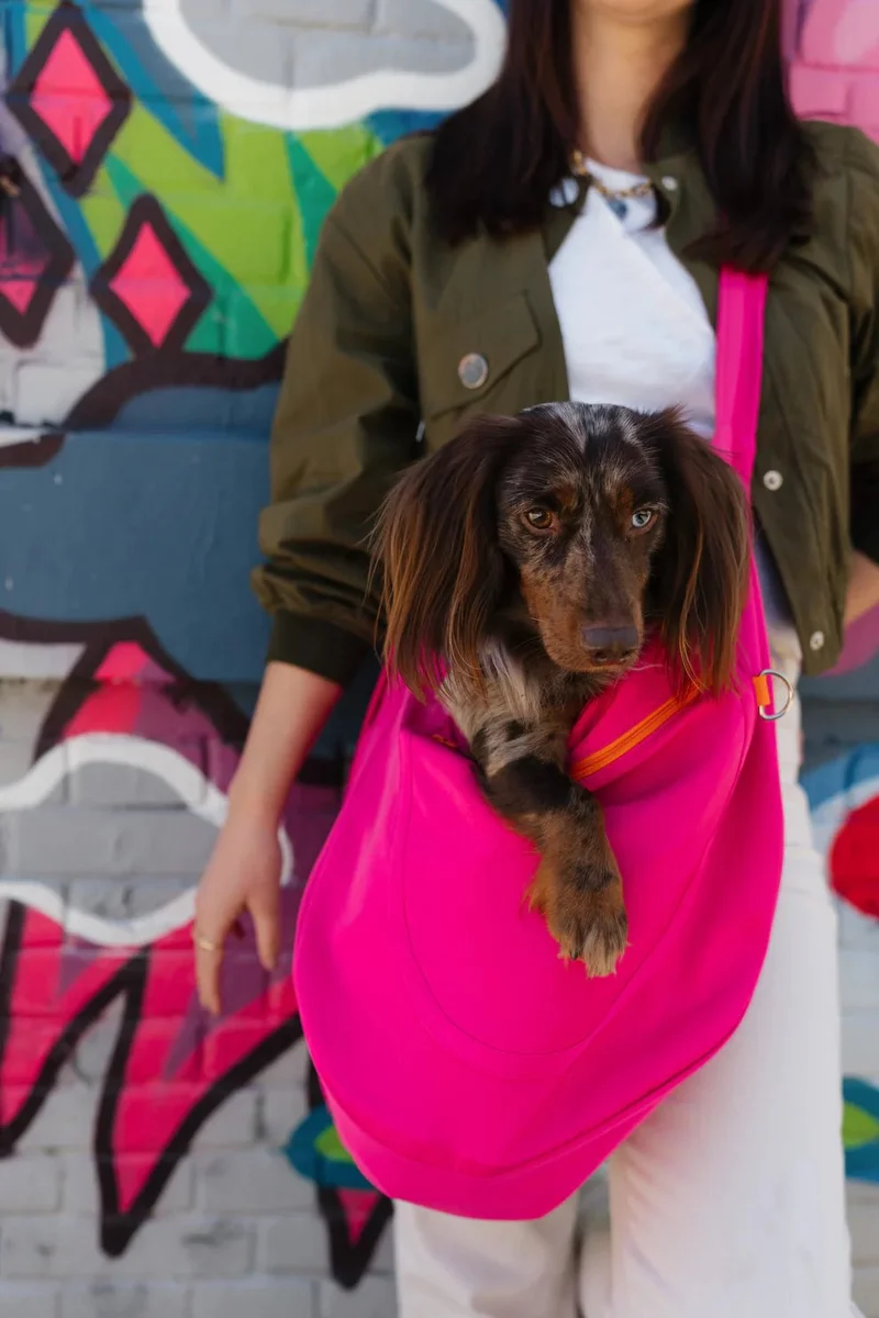 Sac de transport bandoulière pour chien Le Loop MOOF — Style & Liberté