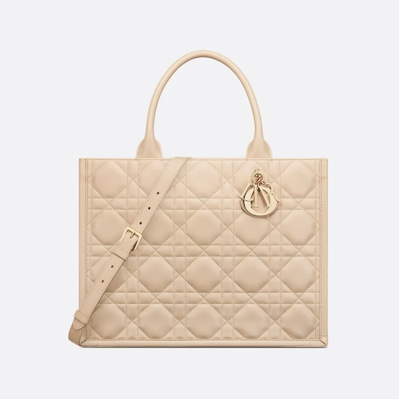 Sac Dior Book Tote Medium