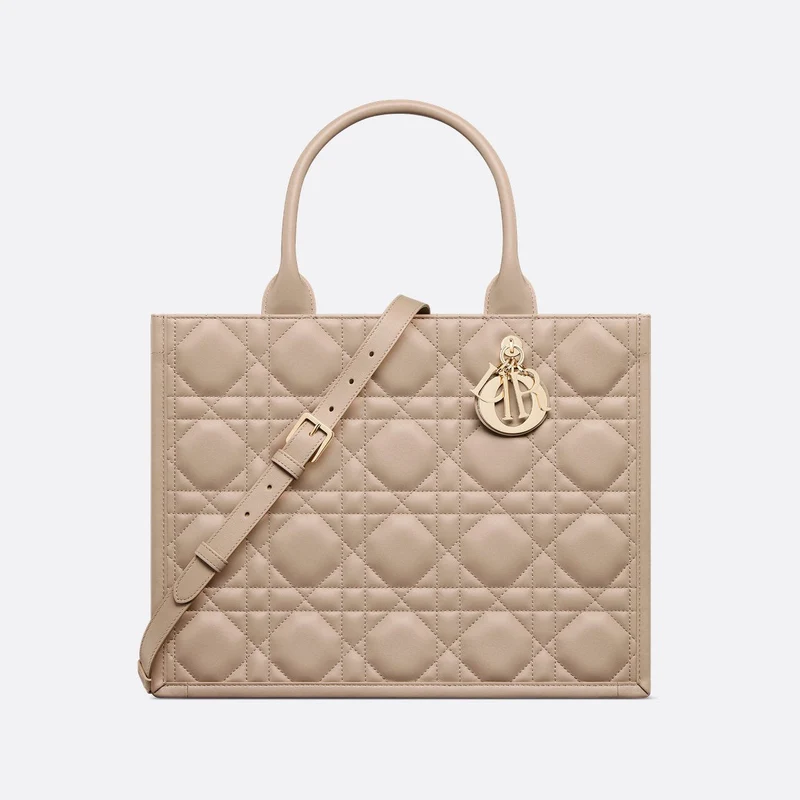 Sac Dior Book Tote Medium