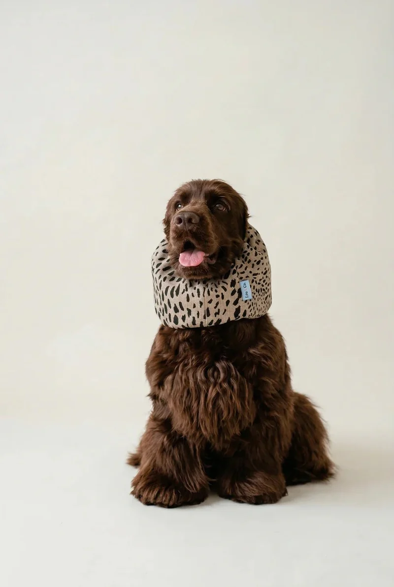 Snood en coton pour chien Dune – oreilles propres & naturel chic