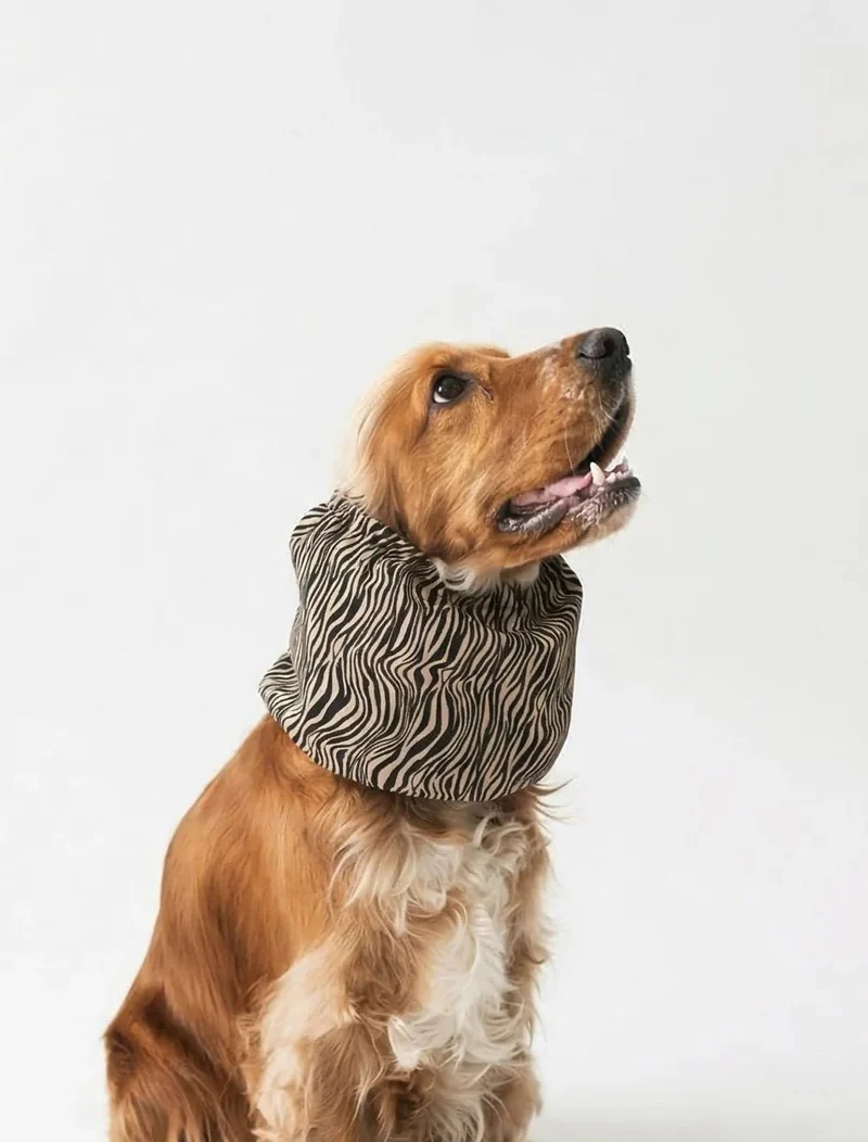 Snood en coton pour chien zebra – oreilles propres & chic