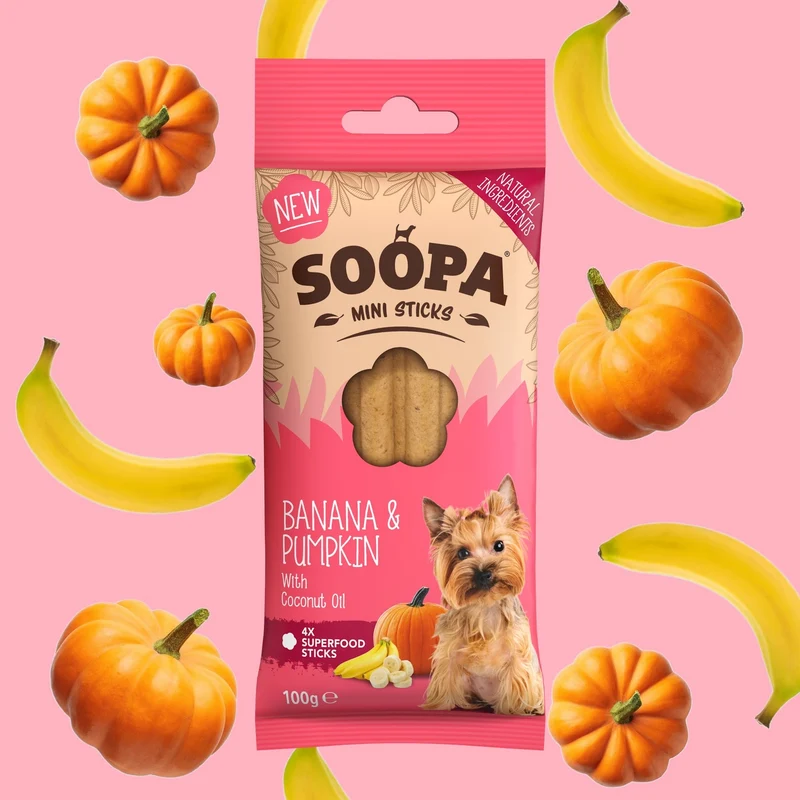 BÂTONNETS DENTAIRES MINI CHIENS - Banane et citrouille