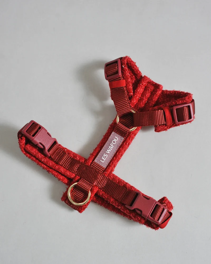HARNAIS EN TWEED - Rouge