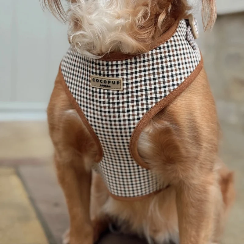 Harnais pour chien H réglable Heritage Check chic