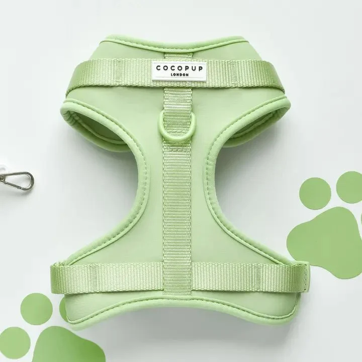 Harnais pour chien H réglable vert pastel matcha chic