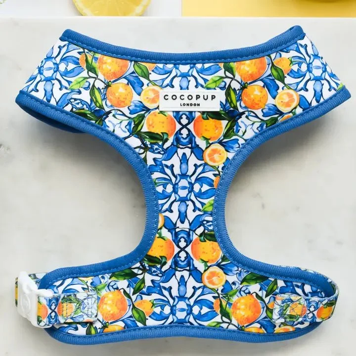 Harnais pour chien réglable Amalfi Lemon CocoPup London