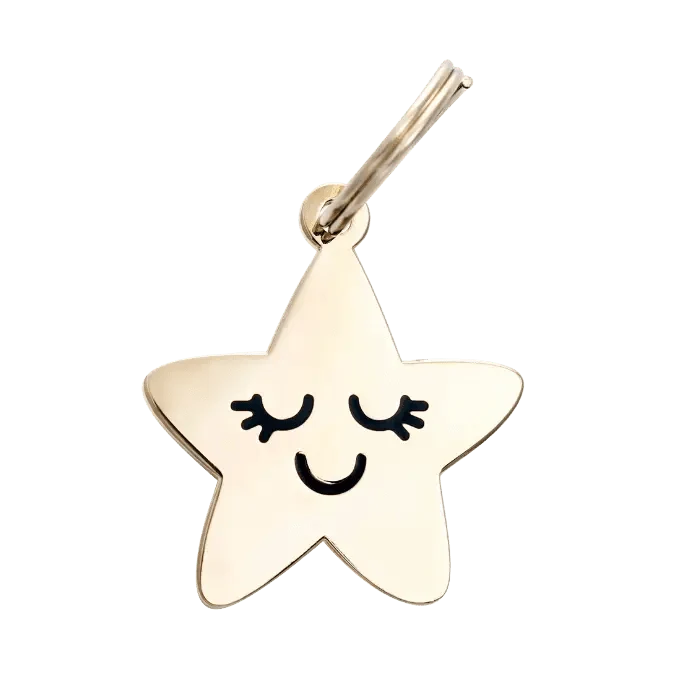 Médaille gravée pour chien personnalisable Smiling Star