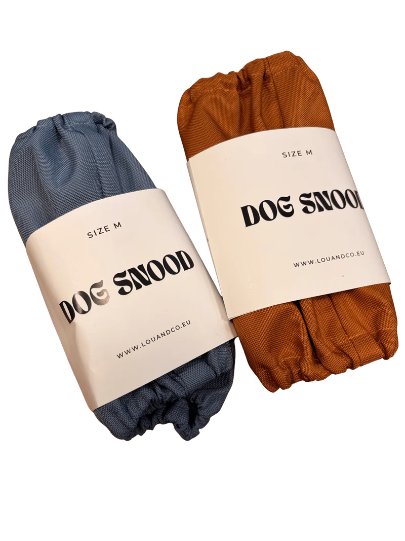 Snood pour chien imperméable technique – protège les oreilles par tous temps