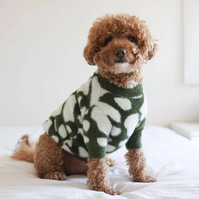 PULL POUR CHIENS ET CHATS - Nuage vert