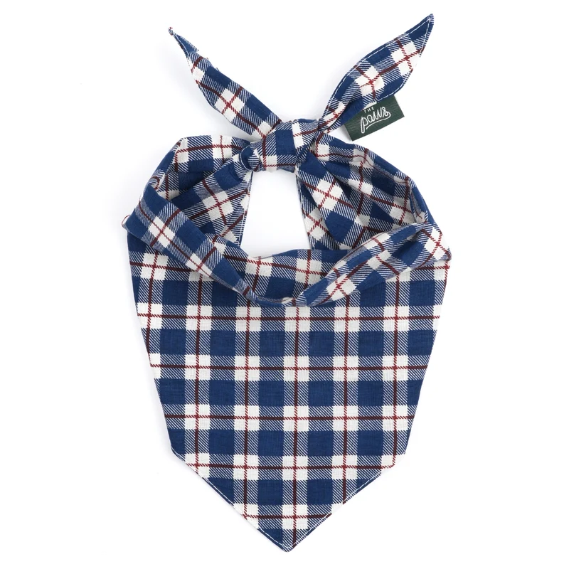 BANDANA - After winter