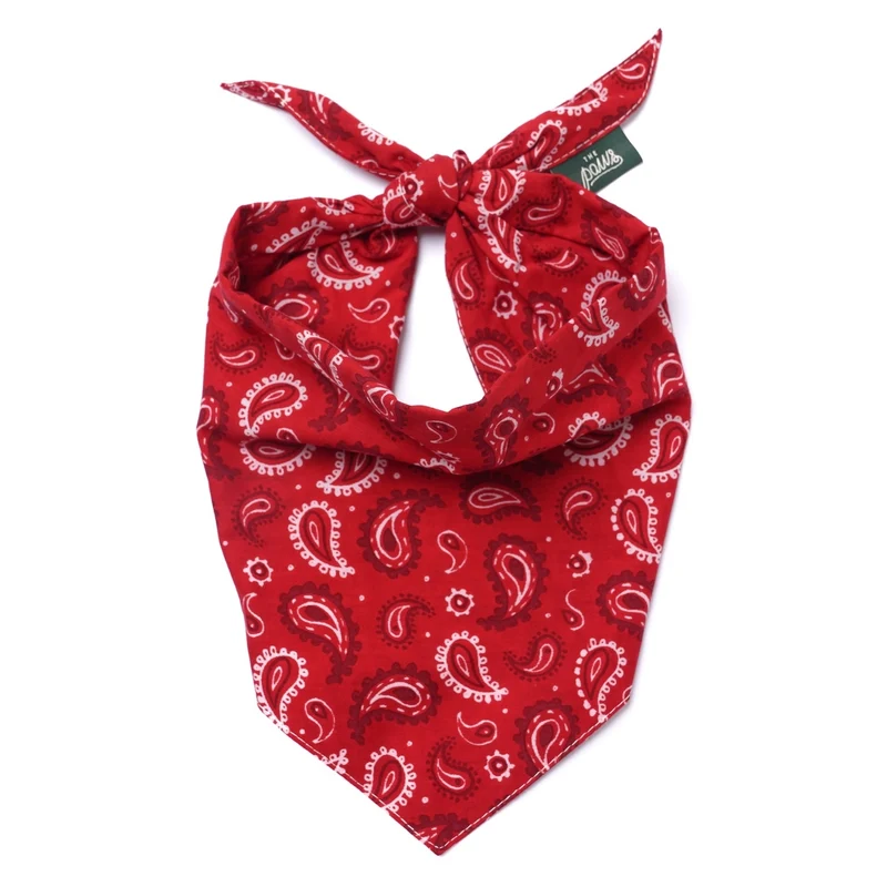 BANDANA - Dallas