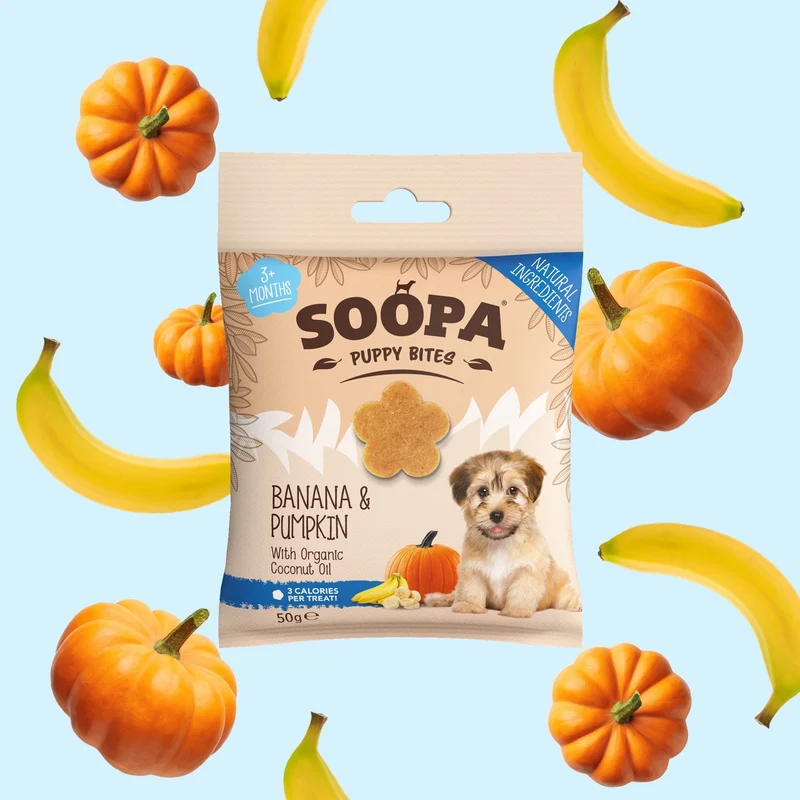 FRIANDISES CHIOTS - Banane et citrouille