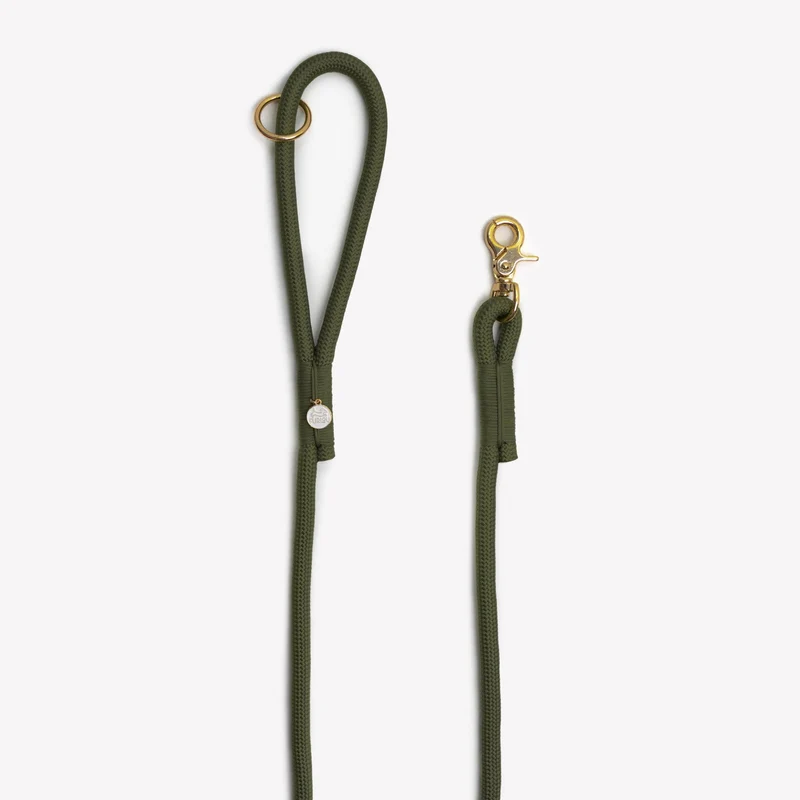 LAISSE EN CORDE - Vert mousse
